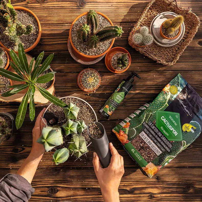 Mantenimiento Avanzado